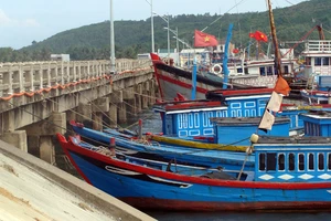 Nhà nước hỗ trợ 100% chi phí bảo hiểm về người