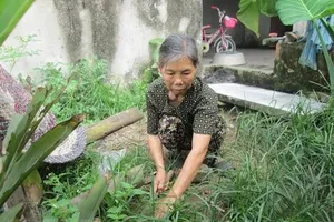 Người đàn bà 10 năm ăn cám lợn nuôi... 4 con học đại học cùng chồng tàn tật