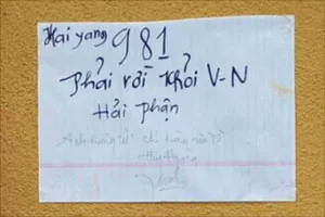 Cụ ông gốc Việt ở Mỹ tự thiêu phản đối giàn khoan Hải Dương 981