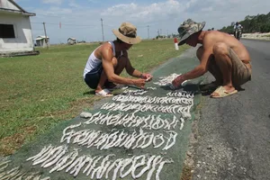 Bí ẩn thương lái Trung Quốc ồ ạt thu mua “địa sâm”: Nguy cơ biến mất loài giun biển