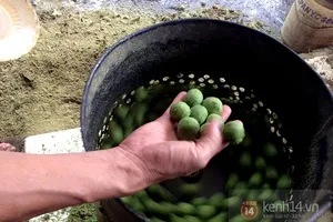 Chà vỏ sấu, kiếm bạc triệu mỗi ngày 