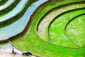 Những chính sách mới về Đất đai có hiệu lực trong tháng 7 