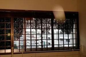 Sốc khi hàng ngàn con ong đậu ngoài cửa sổ như tấm rèm