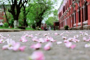 Học sinh lớp 11 đâm chết người vì bạn gái bị trêu ghẹo