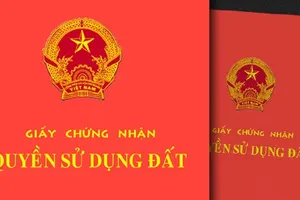 8 loại giấy tờ nhà đất cũ có thể được xem xét cấp sổ đỏ