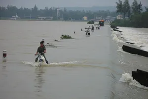Lũ lên trên sông Cửu Long