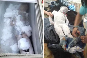 Ướp xác 2 cậu con trai chết đuối trong tủ đông lạnh vì quá đau buồn