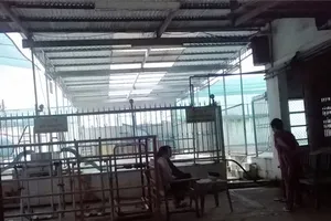 Một bé gái mất tích sau khi đi bơi