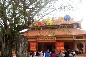 Cây bồ đề gần 200 năm tuổi ở Phú Yên trở thành cây di sản Việt Nam