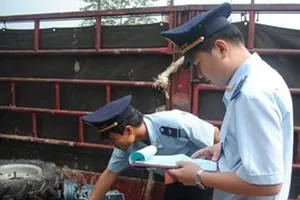 Người báo tin vi phạm hành chính được thưởng đến 50 triệu đồng