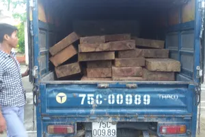 Bắt giữ một xe chở gỗ quý trái phép