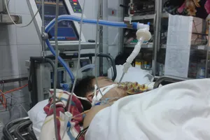 Tàn ác vô nhân hơn loài hổ dữ