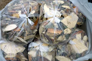 4 người nguy kịch vì dùng thuốc Đông y của thầy lang