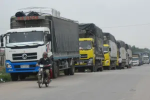 Xe khủng hết hạn kiểm định, chở quá tải 200% vẫn vi vu qua nhiều tỉnh thành