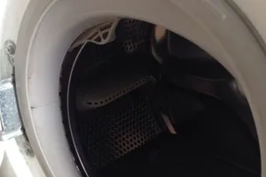 TPHCM: Mém xỉu vì sờ trúng... rắn hổ trong máy giặt