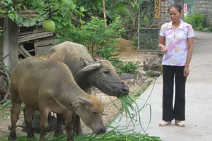 Tăng mức vay ưu đãi lãi suất cho hộ nghèo 