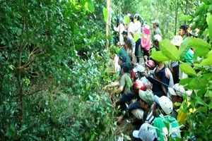 Khởi tố, bắt giam nghi can giết cô gái trong rừng 