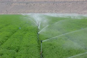 Đảo Lý Sơn áp dụng hệ thống tưới phun tự động 