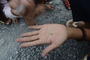 Trà Vinh: Dân đổ ra đường nhặt “vàng“