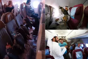 Năm 2014, các "đại gia" trên thế giới tiêu tiền "điên rồ" thế nào?