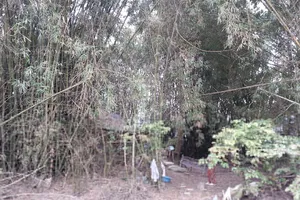 Đôi vợ chồng hơn 40 năm sống ẩn dật như “người rừng”