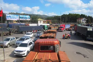 Hàng trăm xe gỗ ùn tắc tại cửa khẩu quốc tế Lao Bảo