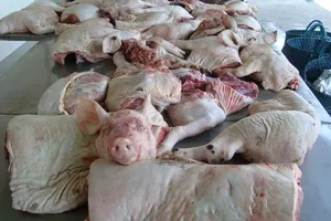 Phát hiện hàng trăm ký thịt heo bệnh chuẩn bị mang lên TP.HCM tiêu thụ