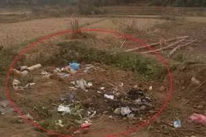 Phẫn nộ: Con dâu đánh mẹ chồng dã man đến chết