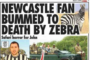 Hi hữu: Người đàn ông bị ngựa vằn 'tấn công tình dục' đến chết 