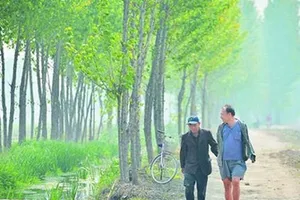 Kinh ngạc: Hai cụ ông khuyết tật trồng hơn 10.000 cây xanh suốt 10 năm