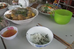 Đảo lộn cuộc sống vì... ruồi tấn công