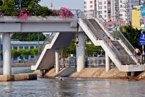 Cảnh báo: Trẻ em Sài Gòn nhảy cầu mạo hiểm