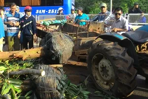 Xe máy cày nổ bánh, lật đè chết tài xế