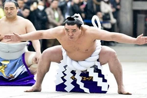 Cuộc 'hành xác' suốt đời của giới võ sĩ sumo