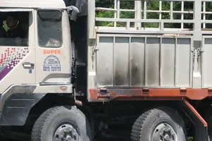 Hoảng loạn vì xe tải bất ngờ bốc cháy trong hầm Hải Vân