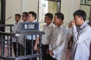 Cấp đất sai, chủ tịch và phó chủ tịch xã cùng hầu tòa 