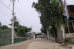 Thảm sát Bình Phước: Hai vợ chồng nạn nhân đang xây đường cho ấp