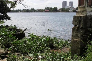 Tập thể dục, phát hiện xác chết trên sông Sài Gòn