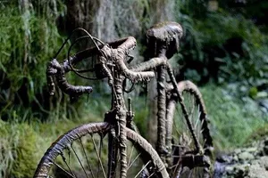 Kỳ lạ: Hang động biến mọi thứ thành đá