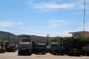 Cảng Quy Nhơn đình trệ vì công nhân đồng loạt ngừng việc