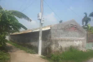 Đóng cửa trại nuôi để rắn độc xổng vào nhà dân