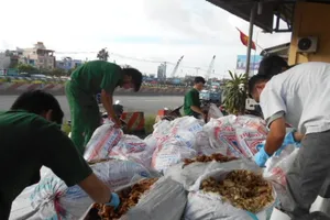 Bắt giữ hơn 400kg thịt heo sữa thối trên đường vào TP HCM