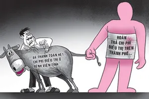 Vụ bò đứt dây, người gãy xương sườn: Chủ bò phải bồi thường