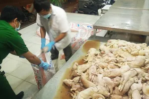 Gần 180 con heo sữa thối suýt vào nhà hàng