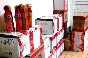 Thu giữ hơn 300 bình cứu hỏa mini nhập lậu từ Trung Quốc 