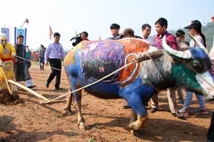 Khai hội ‘Vua’ xuống ruộng làm lễ Tịch điền