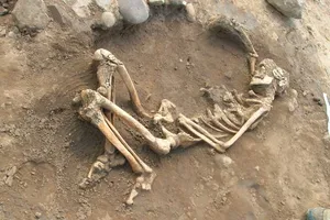 Sửa nhà, phát hiện bộ xương người trên… trần