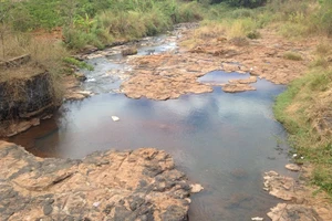 Gia Lai công bố rủi ro thiên tai cấp độ 1 trên toàn tỉnh