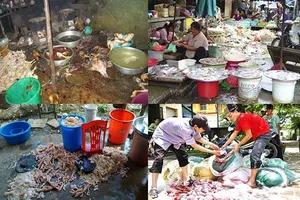 Mất an toàn thực phẩm đã trở thành ‘quốc nạn’