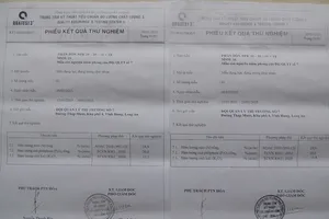 Nguyên Đội trưởng QLTT Long An lãnh án vì ‘giải cứu’ phân dỏm 